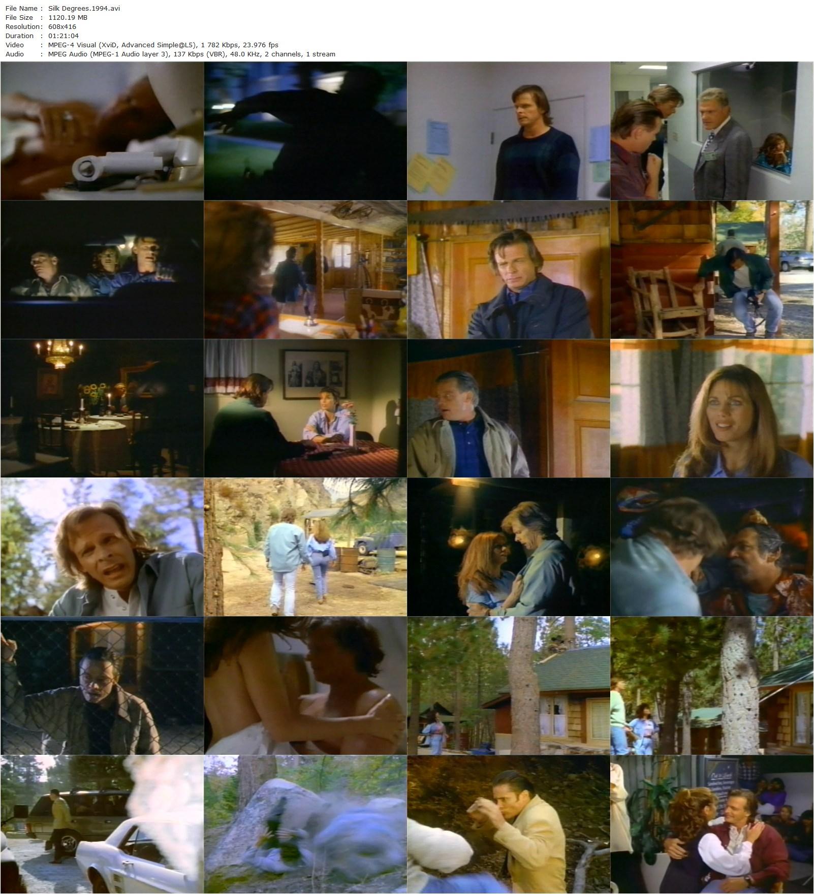 Silk Degrees (1994) Armand Garabidian, Marc Singer, Deborah Shelton, Mark Hamill-poster