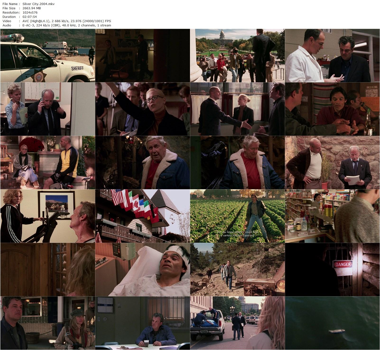 Silver City (2004) John Sayles, Chris Cooper, Thora Birch, Maria Bello-poster