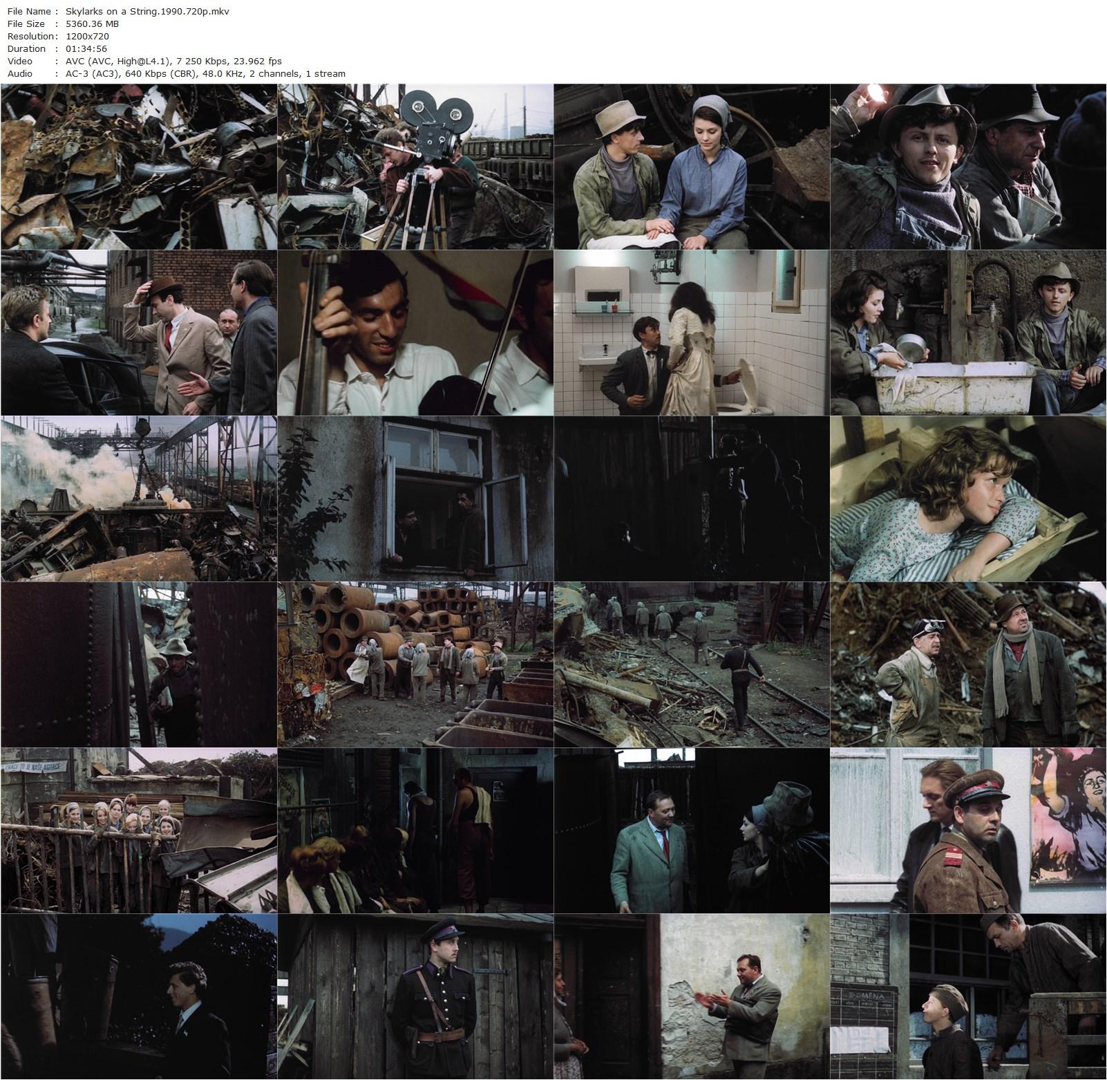 Larks on a String (1990) Jirí Menzel, Rudolf Hrusínský, Vlastimil Brodský, Václav Neckár-poster