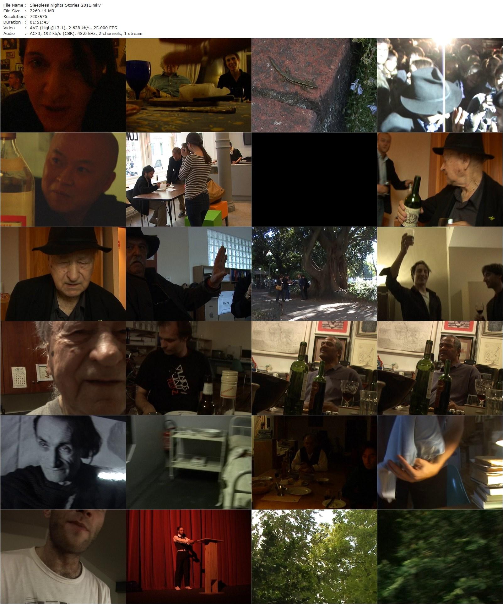 Sleepless Nights Stories (2011) Jonas Mekas, Raimund Abraham, Marina Abramovic, Björk-poster