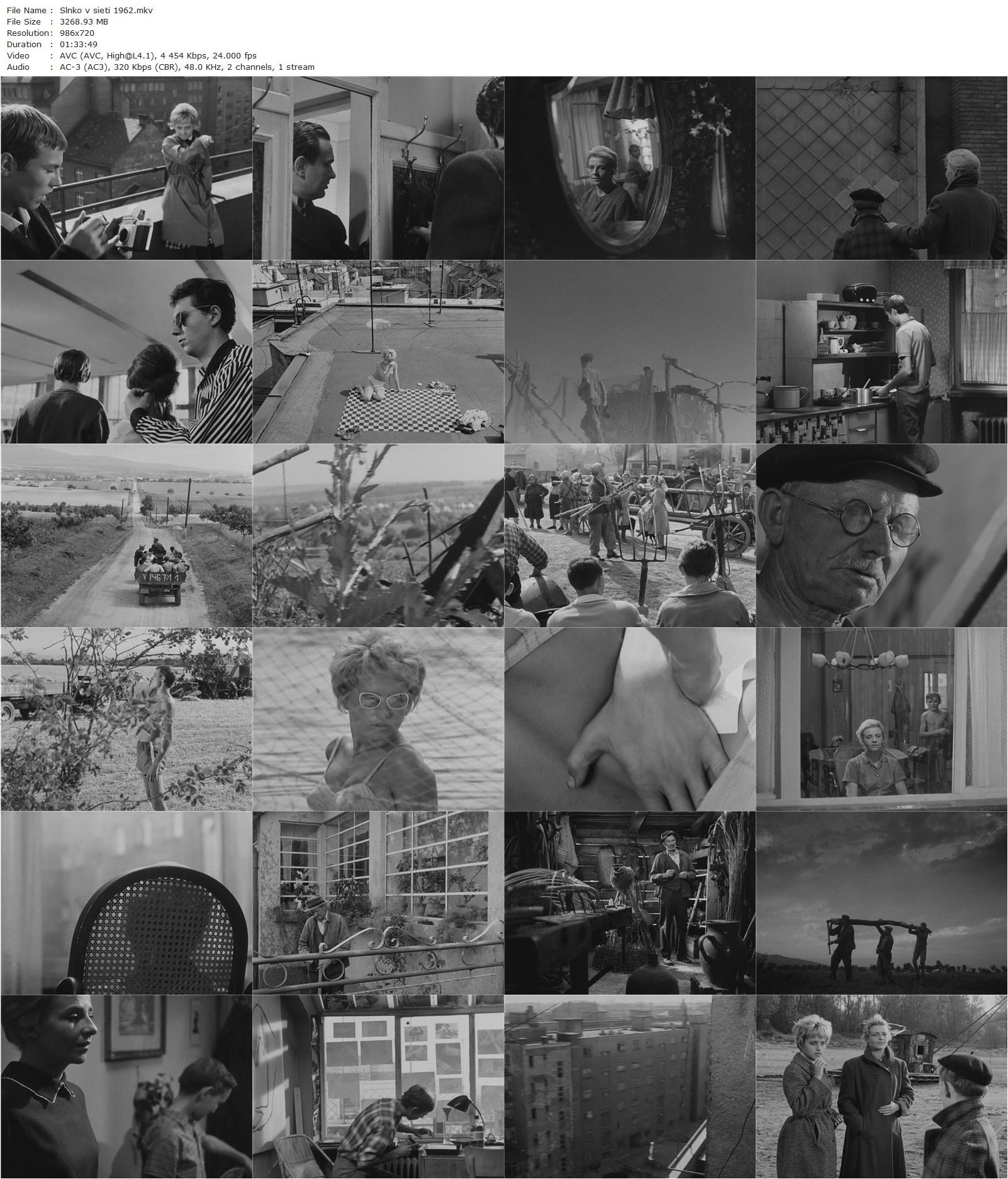 The Sun in a Net (1962) Stefan Uher, Marián Bielik, Jana Beláková, Olga Salagová-poster