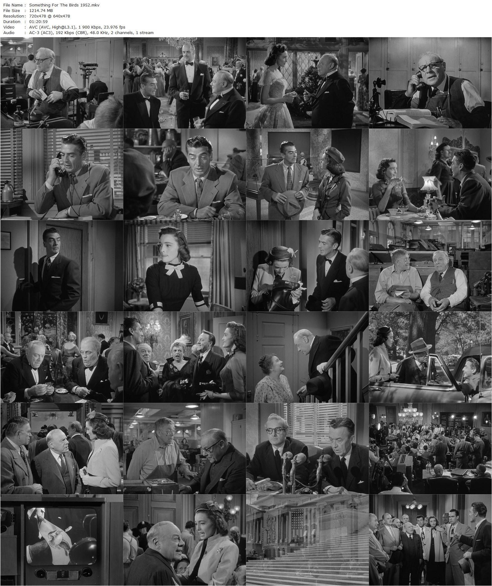 Something for the Birds (1952) Robert Wise, Victor Mature, Patricia Neal, Edmund Gwenn-poster