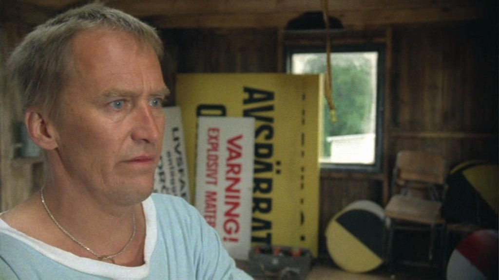 Sommarens tolv månader / The Twelve Months of Summer (1988) Richard Hobert, Hans Mosesson, Bergljót Arnadóttir, Victoria Möllerström-Hjelm, Drama, Horror, Mystery, Sci-Fi-poster