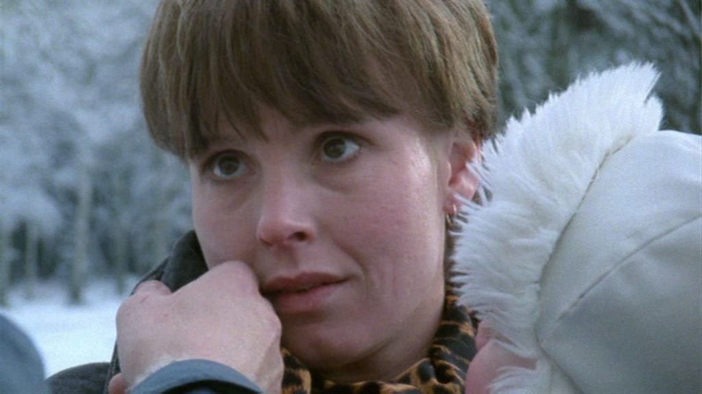 Sommarens tolv månader / The Twelve Months of Summer (1988) Richard Hobert, Hans Mosesson, Bergljót Arnadóttir, Victoria Möllerström-Hjelm, Drama, Horror, Mystery, Sci-Fi-poster