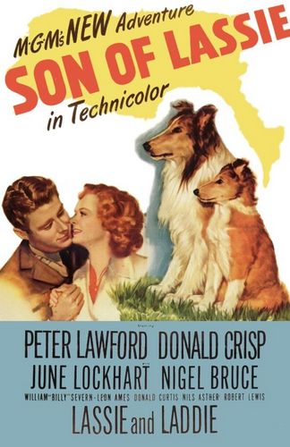 Son of Lassie (1945) S. Sylvan Simon, Peter Lawford, Donald Crisp, June Lockhart