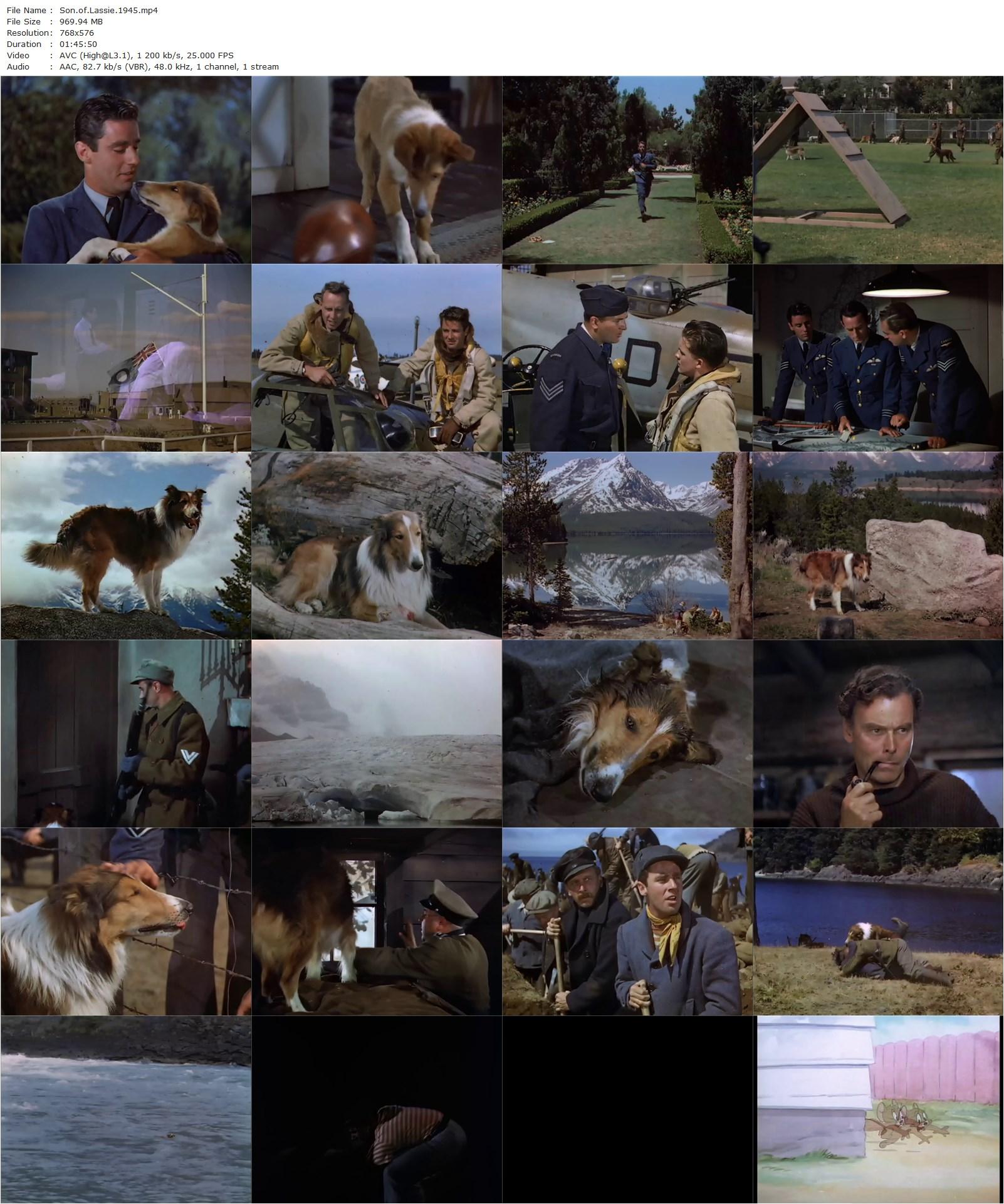 Son of Lassie (1945) S. Sylvan Simon, Peter Lawford, Donald Crisp, June Lockhart-poster