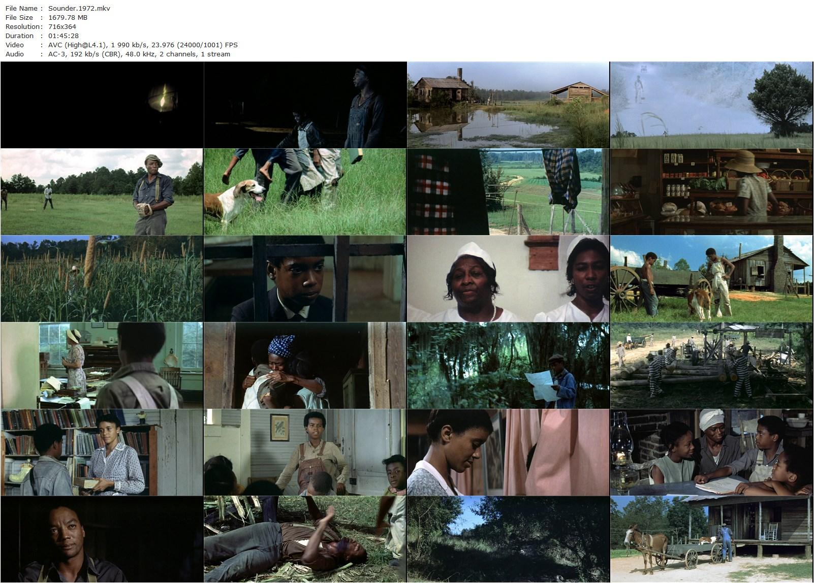 Sounder (1972) Martin Ritt, Cicely Tyson, Paul Winfield, Kevin Hooks-poster