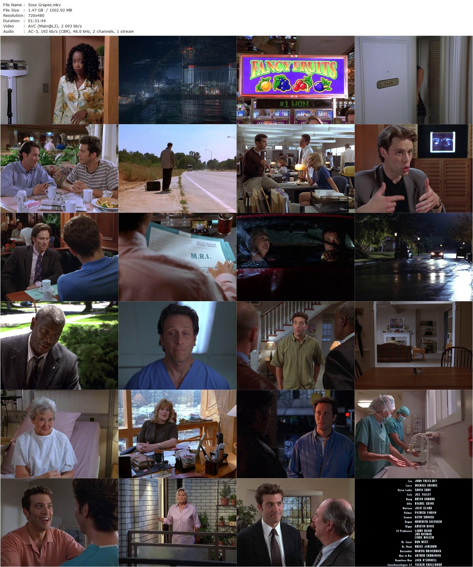 Sour Grapes (1998) Larry David, Steven Weber, Craig Bierko, Jack Burns-poster