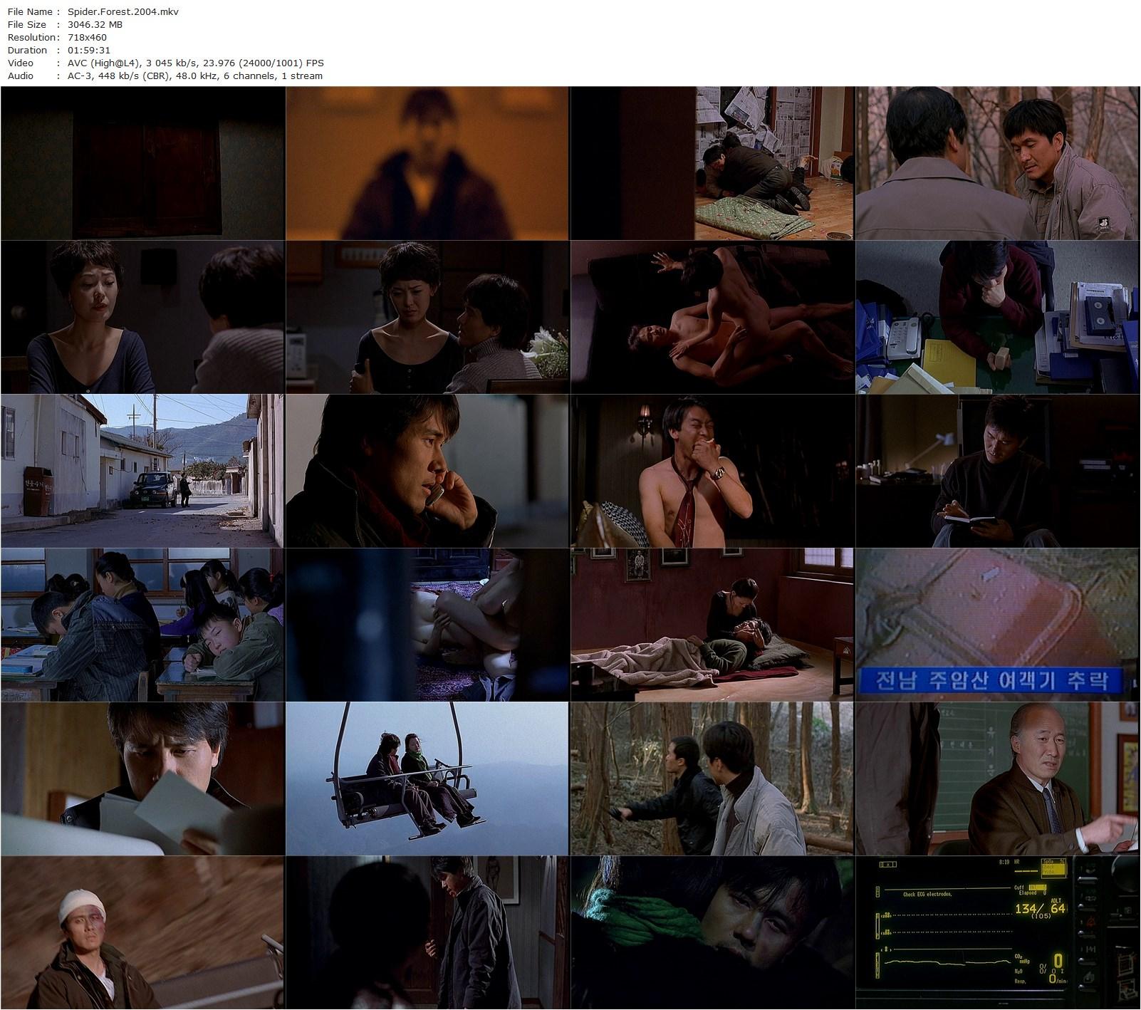 Spider Forest AKA Geomi sup (2004) Il-gon Song, Woo-seong Kam, Jung Suh, Kyung-hun Kang-poster