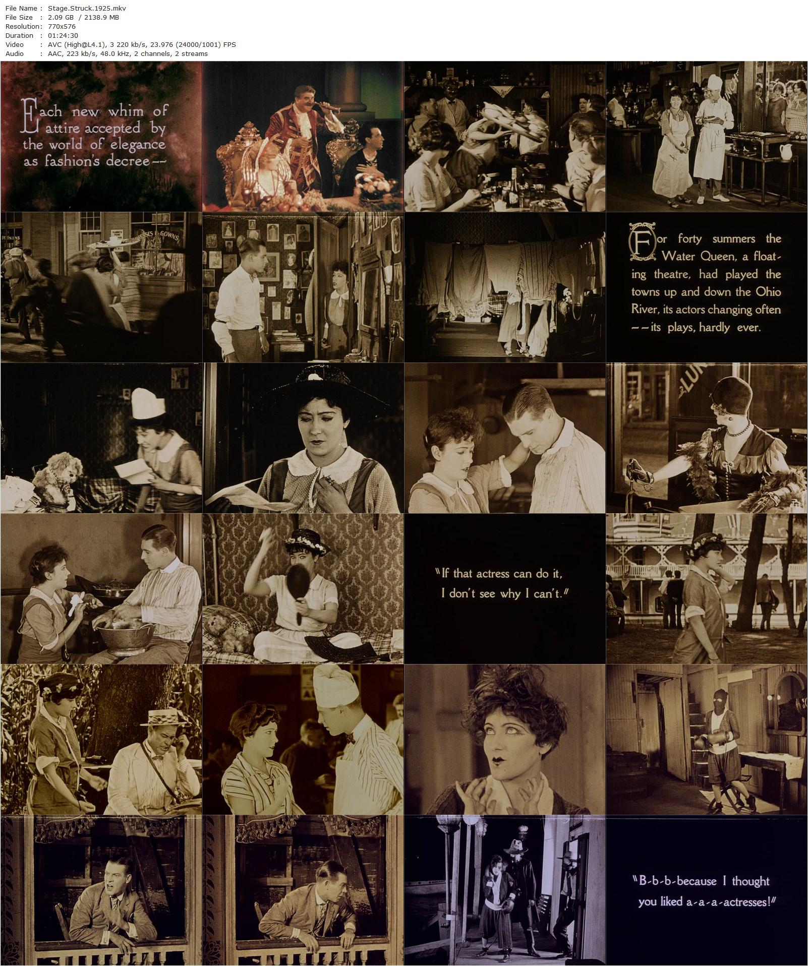 Stage Struck (1925) Allan Dwan, Gloria Swanson, Lawrence Gray, Gertrude Astor-poster