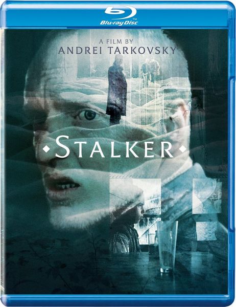 Stalker (1979) Andrei Tarkovsky, Alisa Freyndlikh, Aleksandr Kaydanovskiy, Anatoliy Solonitsyn