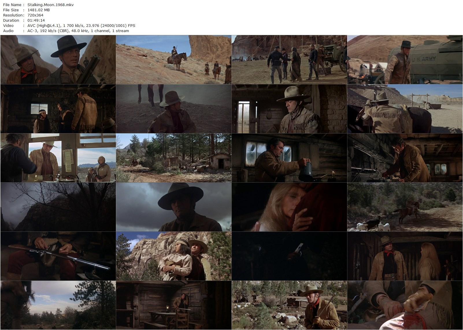 The Stalking Moon (1968)  Robert Mulligan, Gregory Peck, Eva Marie Saint, Robert Forster-poster