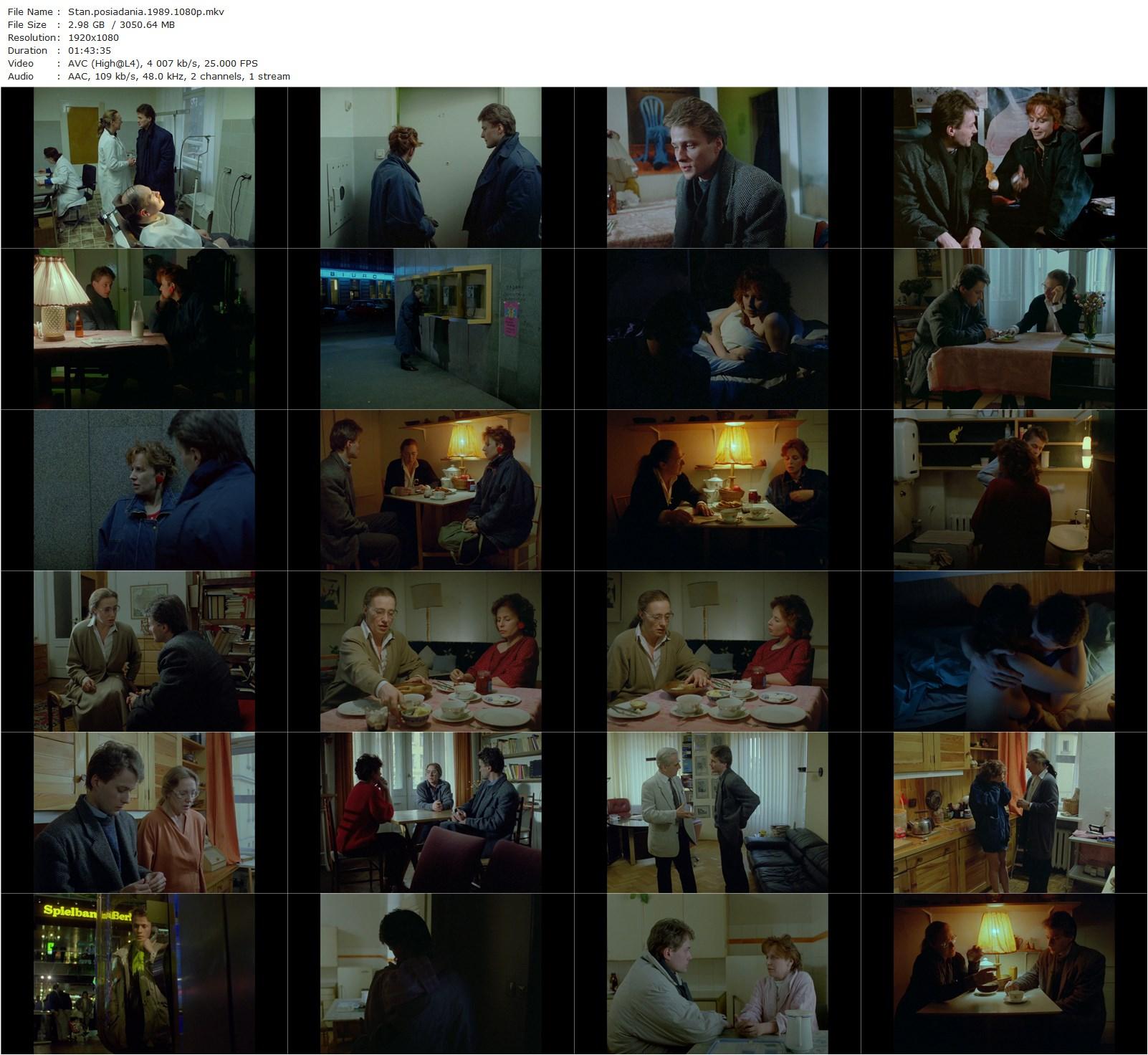 Inventory AKA Stan posiadania (1989) Krzysztof Zanussi, Krystyna Janda, Artur Zmijewski, Maja Komorowska-poster