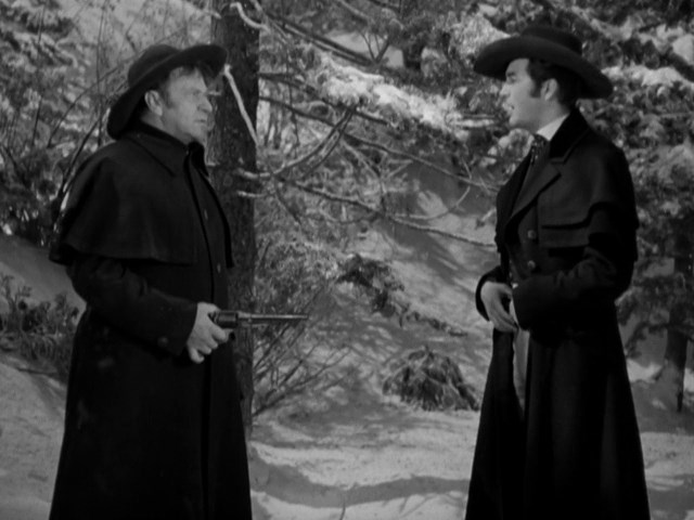 Stand Up and Fight (1939) W.S. Van Dyke, Wallace Beery, Robert Taylor, Florence Rice, Drama, History, Romance, Western-poster