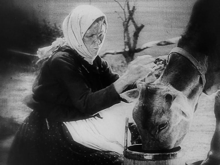 Staroye i novoye / The General Line (1929) Grigoriy Aleksandrov, Sergei M. Eisenstein, Marfa Lapkina, M. Ivanin, Konstantin Vasilyev, Drama-poster