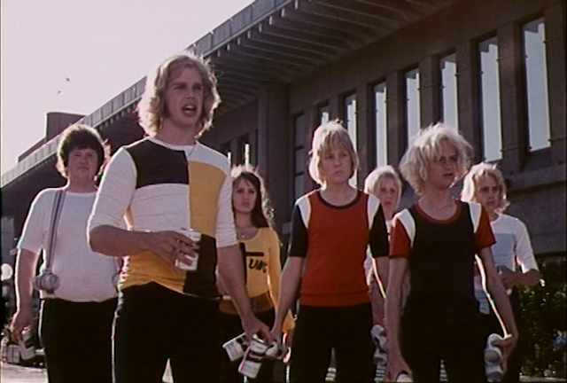 Jan Halldoff - Stenansiktet AKA Stone Face (1973)-poster