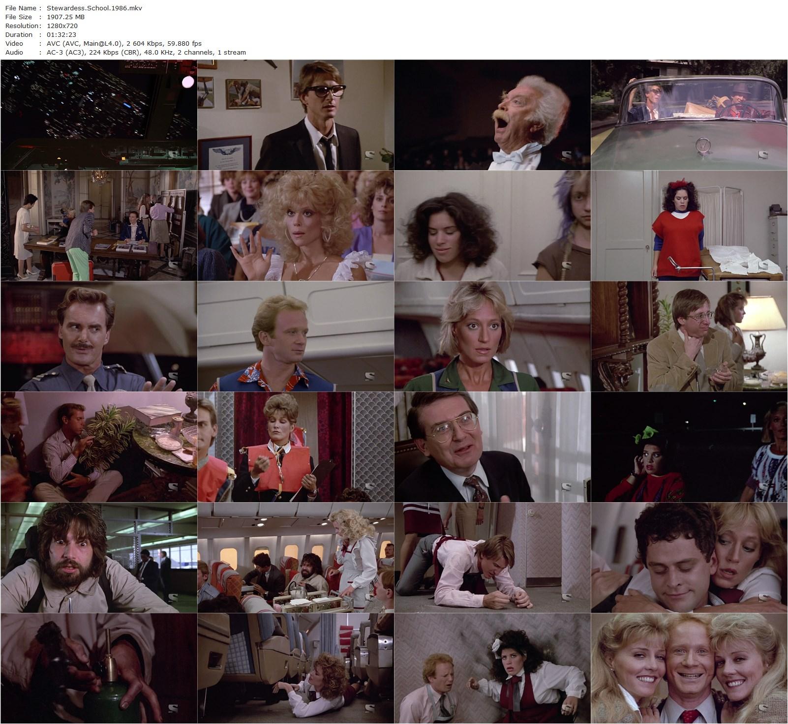 Stewardess School (1986) Ken Blancato, Brett Cullen, Mary Cadorette, Don Most-poster