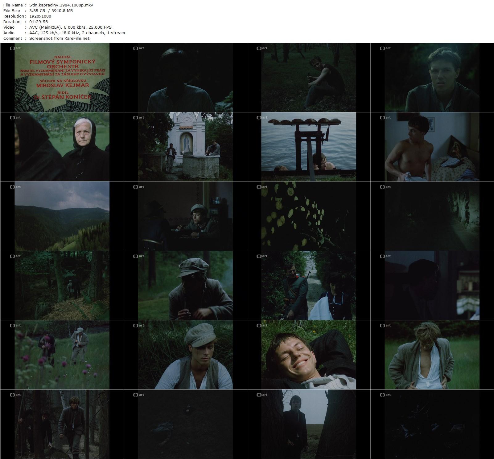 Stín kapradiny / The Shadow of the Ferns (1984) Frantisek Vlácil, Marek Probosz, Zbigniew Suszynski, Miroslav Machácek-poster