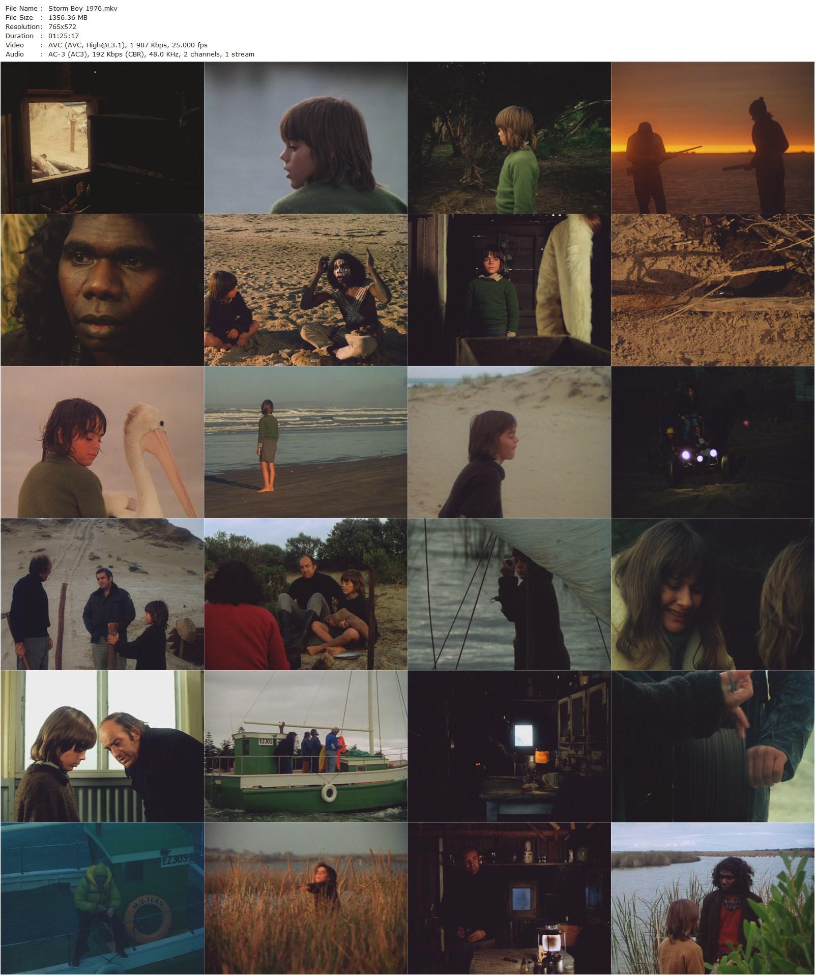 Storm Boy (1976) Henri Safran, Greg Rowe, Peter Cummins, David Gulpilil-poster