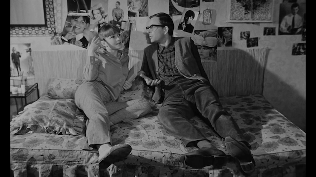 Sublokator (1966)-poster