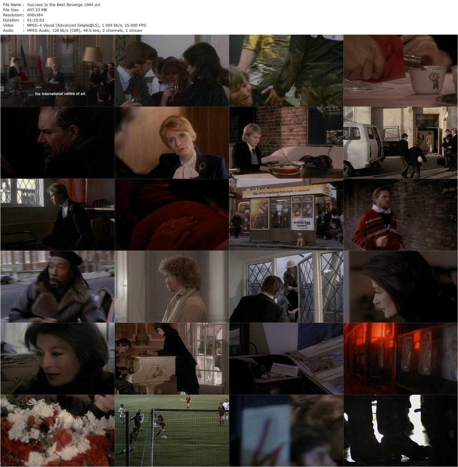 Success Is the Best Revenge (1984) Jerzy Skolimowski-poster