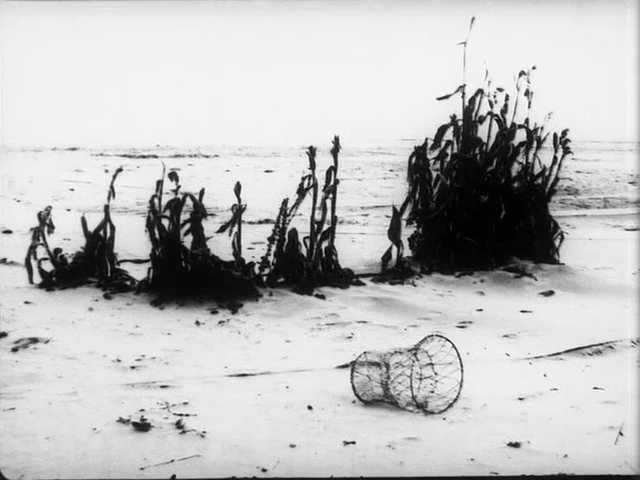 Süden im Schatten (1962)-poster