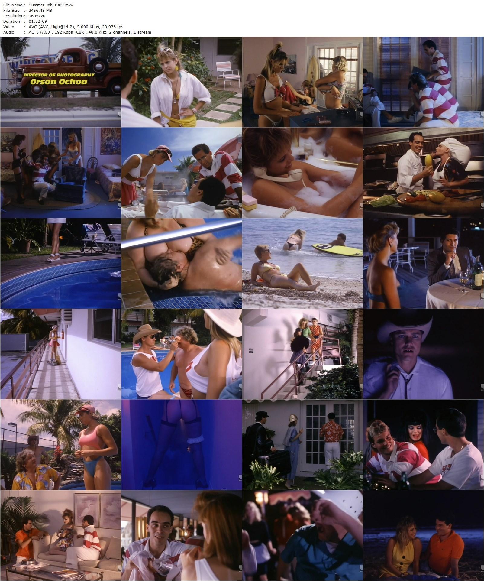 Summer Job (1989) Paul Madden, Sherrie Rose, James Summer, Amy Lynn Baxter-poster