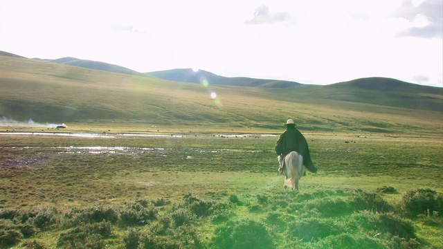 Summer Pasture (2010) by Lynn True & Nelson Walker III & Tsering Perlo-poster