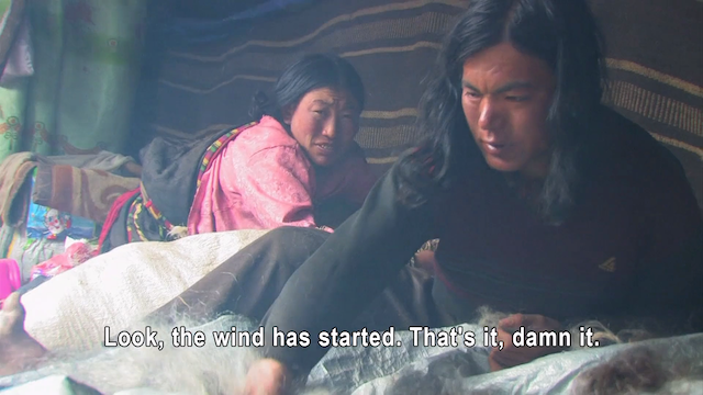 Summer Pasture (2010) by Lynn True & Nelson Walker III & Tsering Perlo-poster