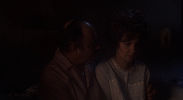 Summer Wishes, Winter Dreams (1973) | Worldscinema | Download Free-poster