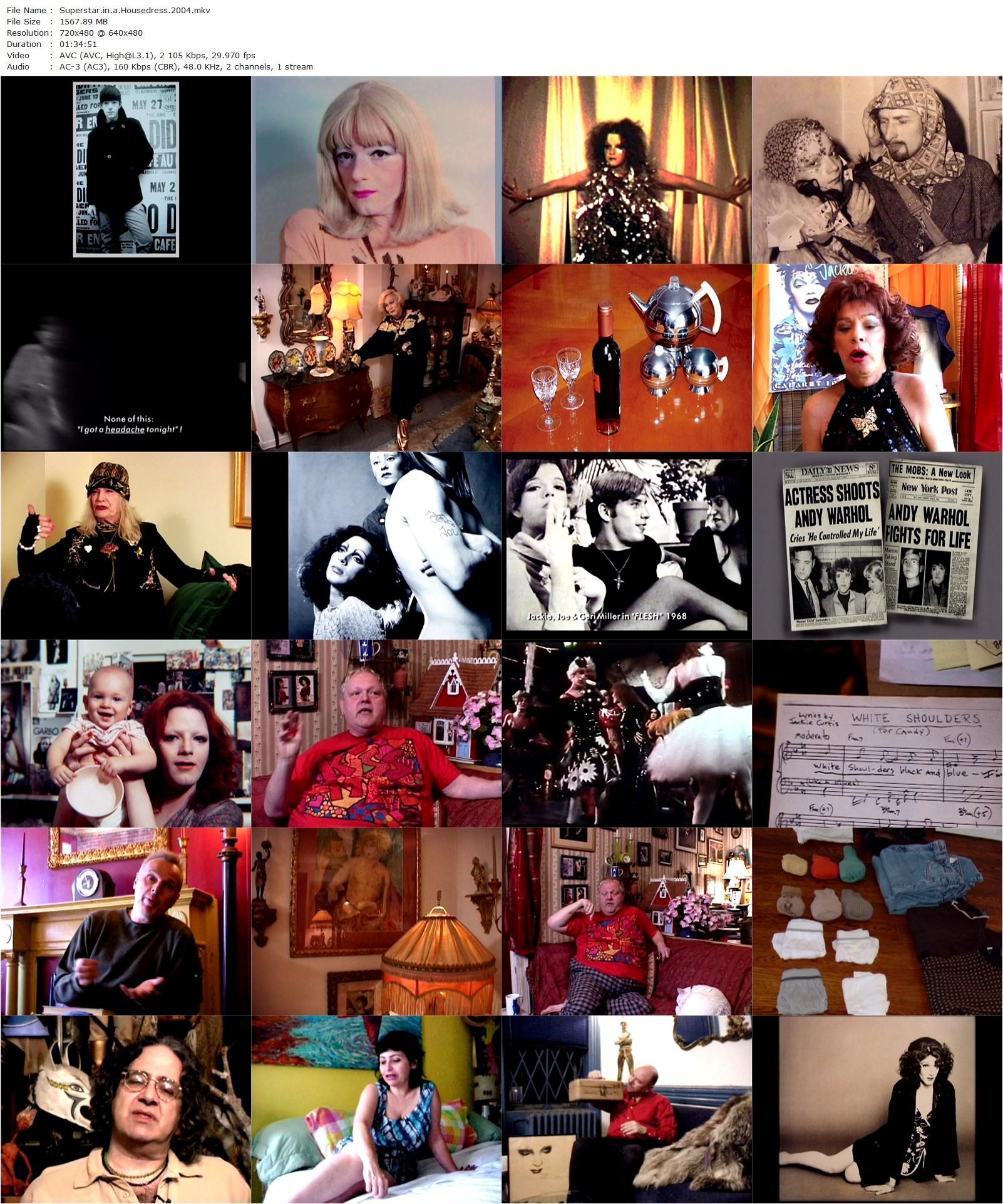 Superstar in a Housedress (2004) Craig Highberger, Paul Ambrose, Michael André, Penny Arcade-poster