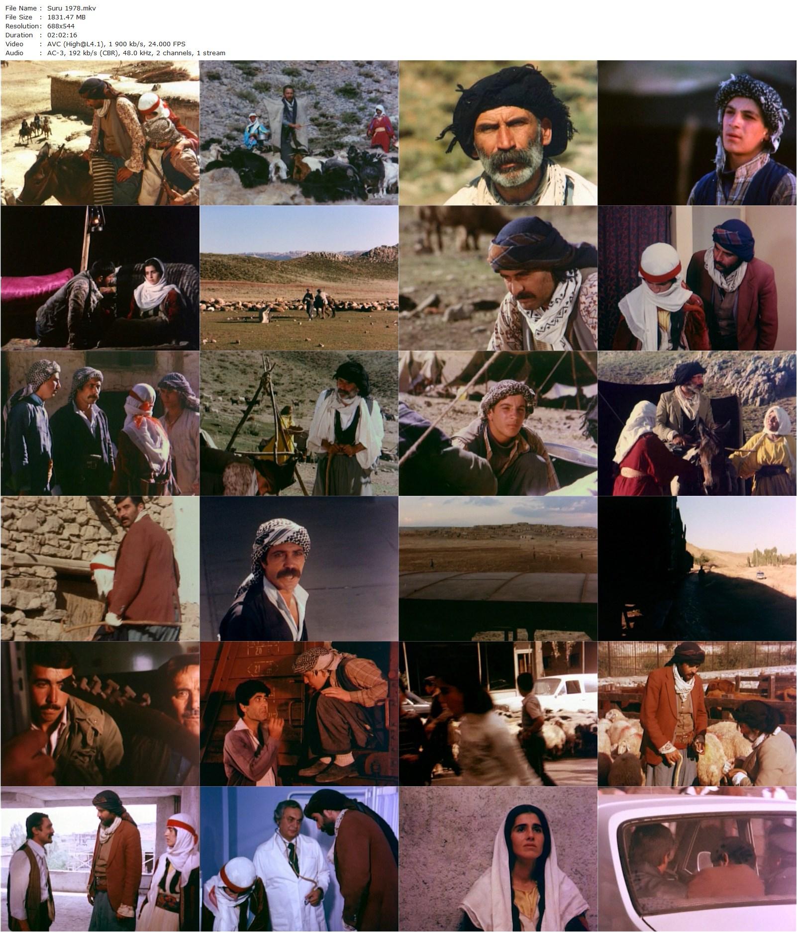 The Herd AKA Sürü (1979) Zeki Ökten, Tarik Akan, Melike Demirag, Erol Demiröz-poster