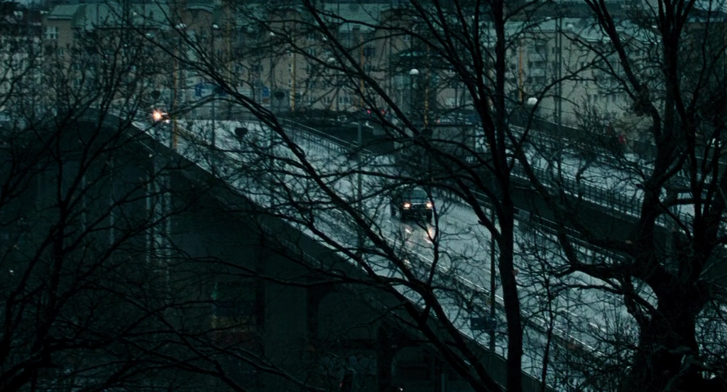 Svinalängorna (2010) | worldscinema.org-poster