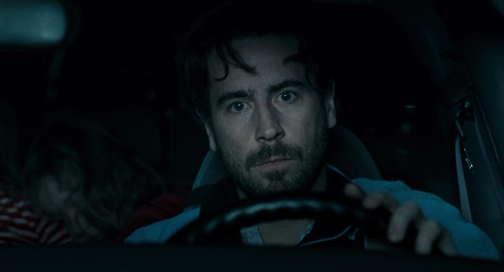 Svinalängorna (2010) | worldscinema.org-poster