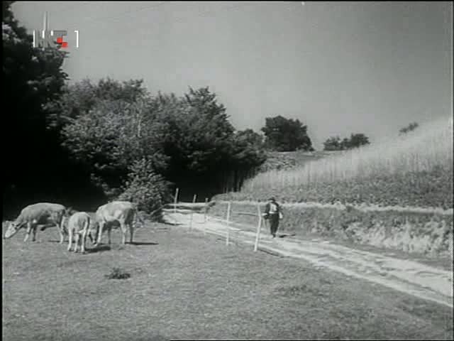 Fedor Hanzekovic - Svoga tela gospodar AKA Master of His Own Body (1957)-poster