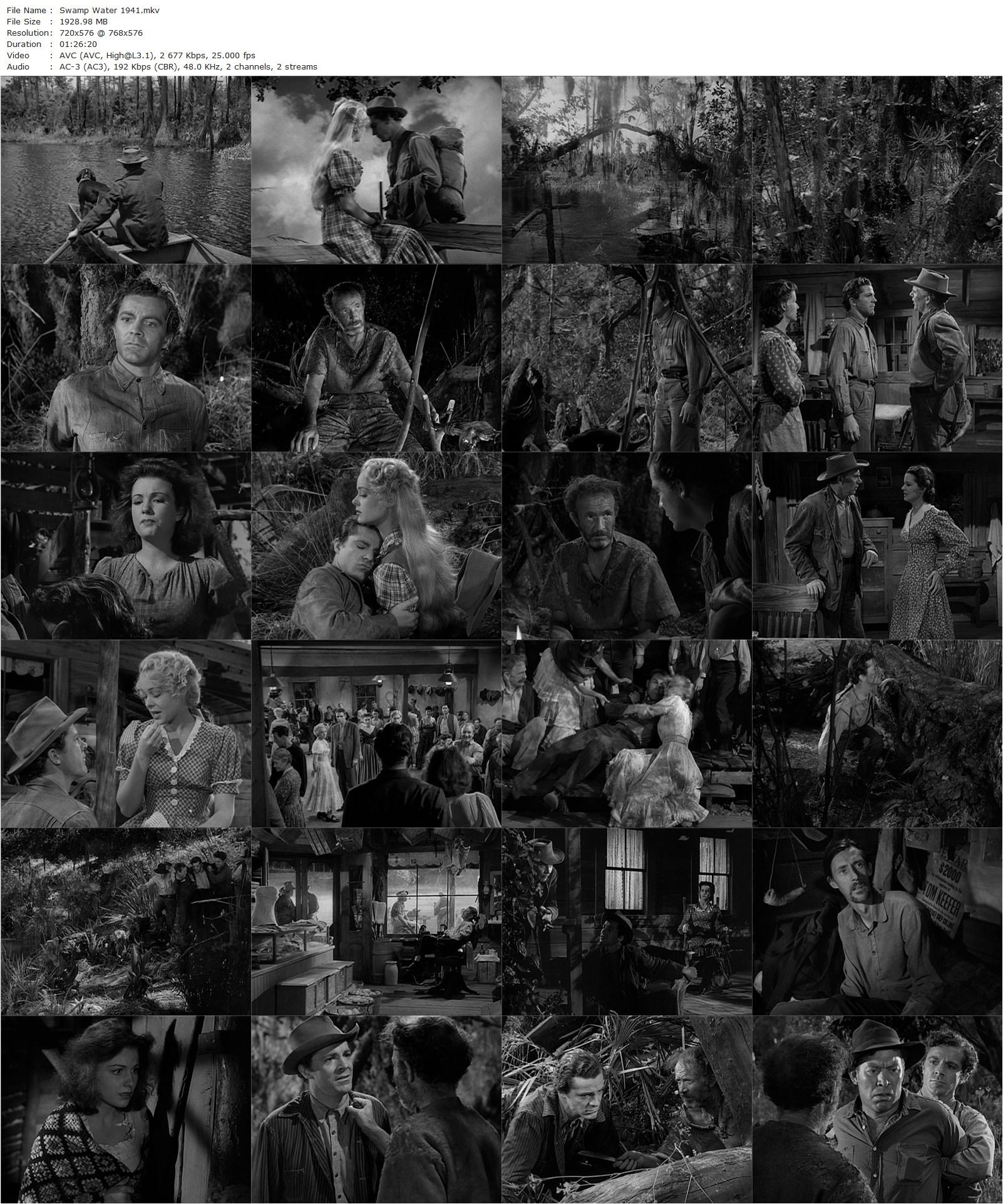 Swamp Water (1941) Jean Renoir, Irving Pichel, Walter Brennan, Walter Huston, Anne Baxter-poster