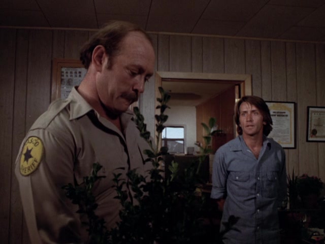 Sweet Hostage (1975) Lee Philips, Linda Blair, Martin Sheen, Jeanne Cooper-poster