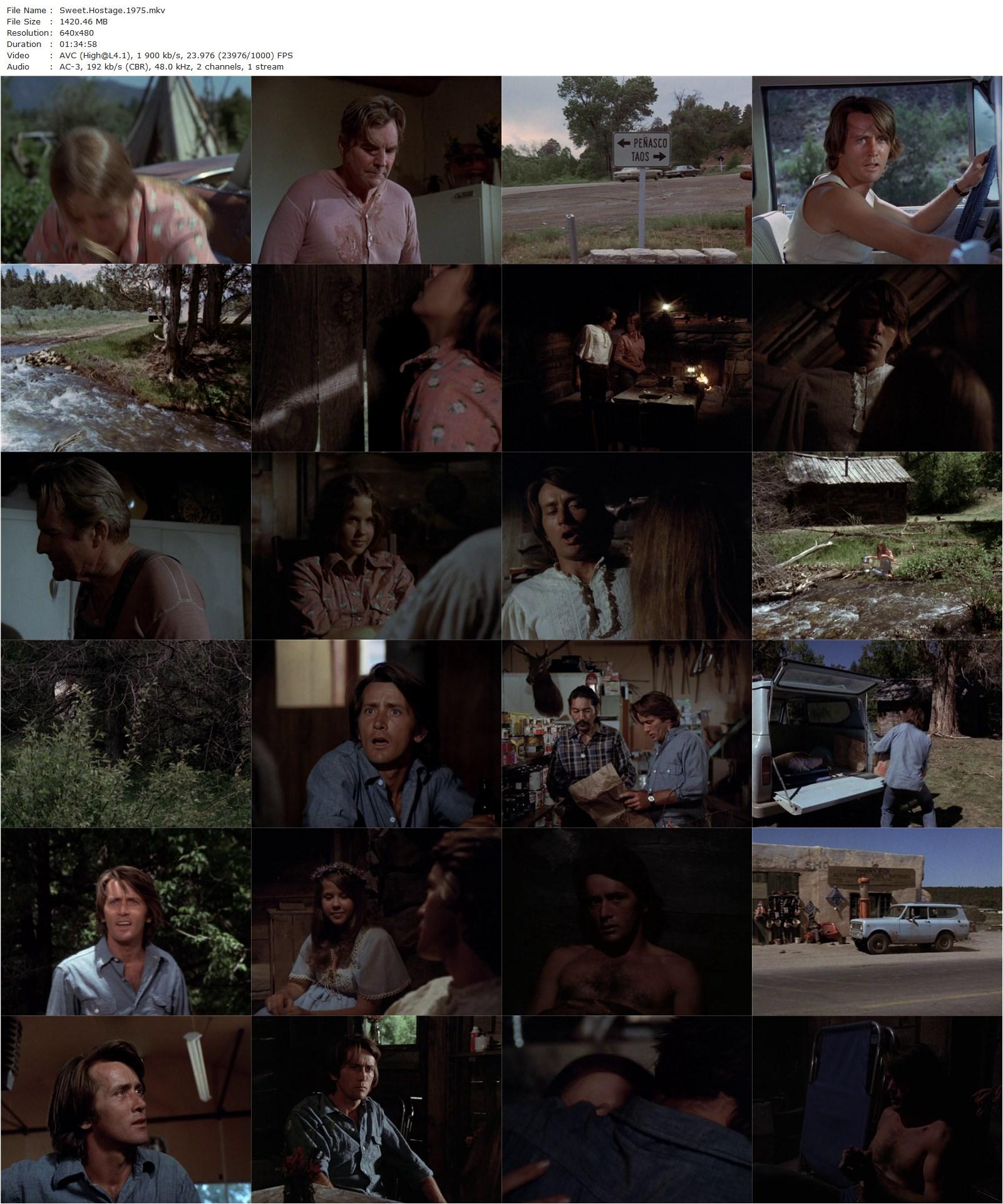 Sweet Hostage (1975) Lee Philips, Linda Blair, Martin Sheen, Jeanne Cooper-poster