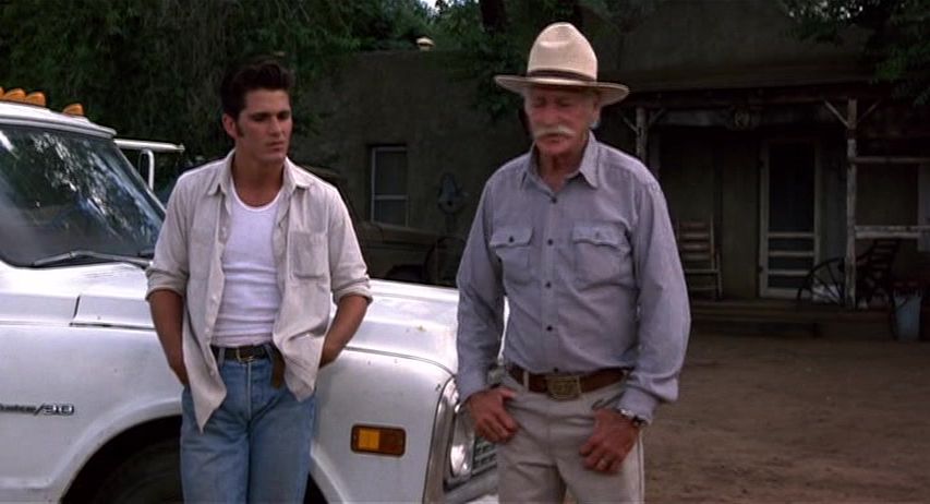 Sylvester (1985) Tim Hunter, Richard Farnsworth, Melissa Gilbert, Michael Schoeffling-poster