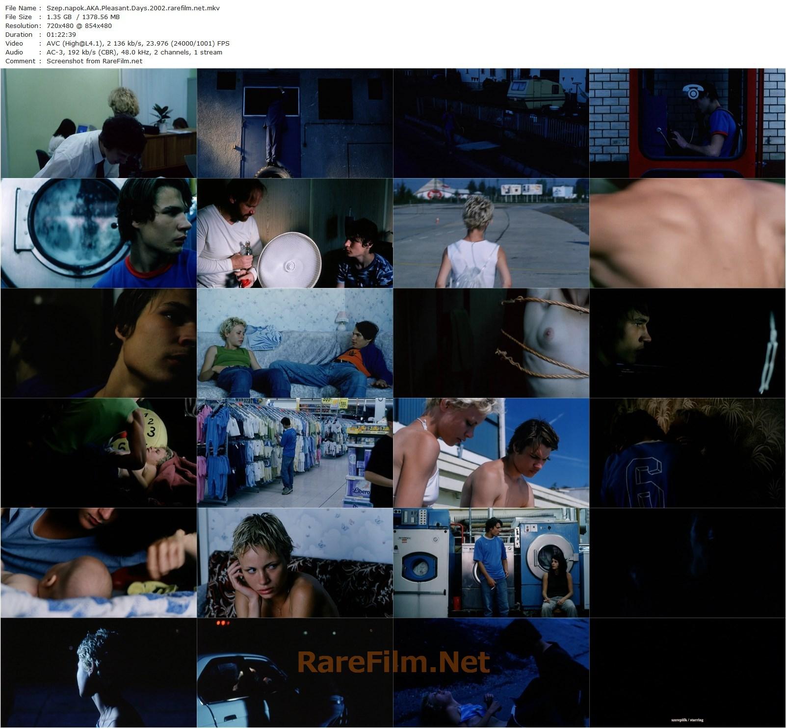 Pleasant Days / Szép napok (2002) Kornél Mundruczó, Tamás Polgár, Orsolya Tóth, Kata Wéber-poster