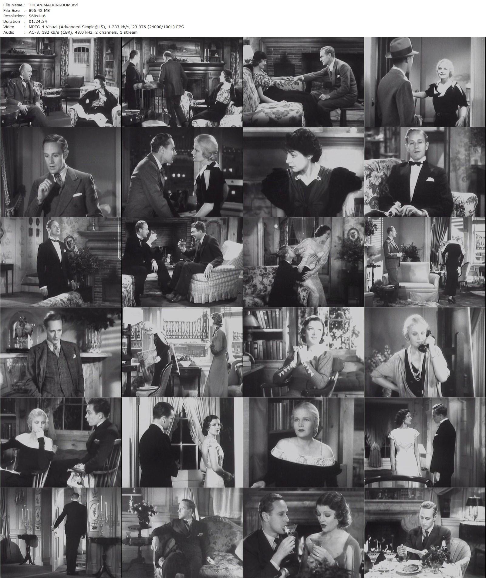 The Animal Kingdom (1932) Edward H. Griffith, George Cukor, Ann Harding, Leslie Howard, Myrna Loy-poster