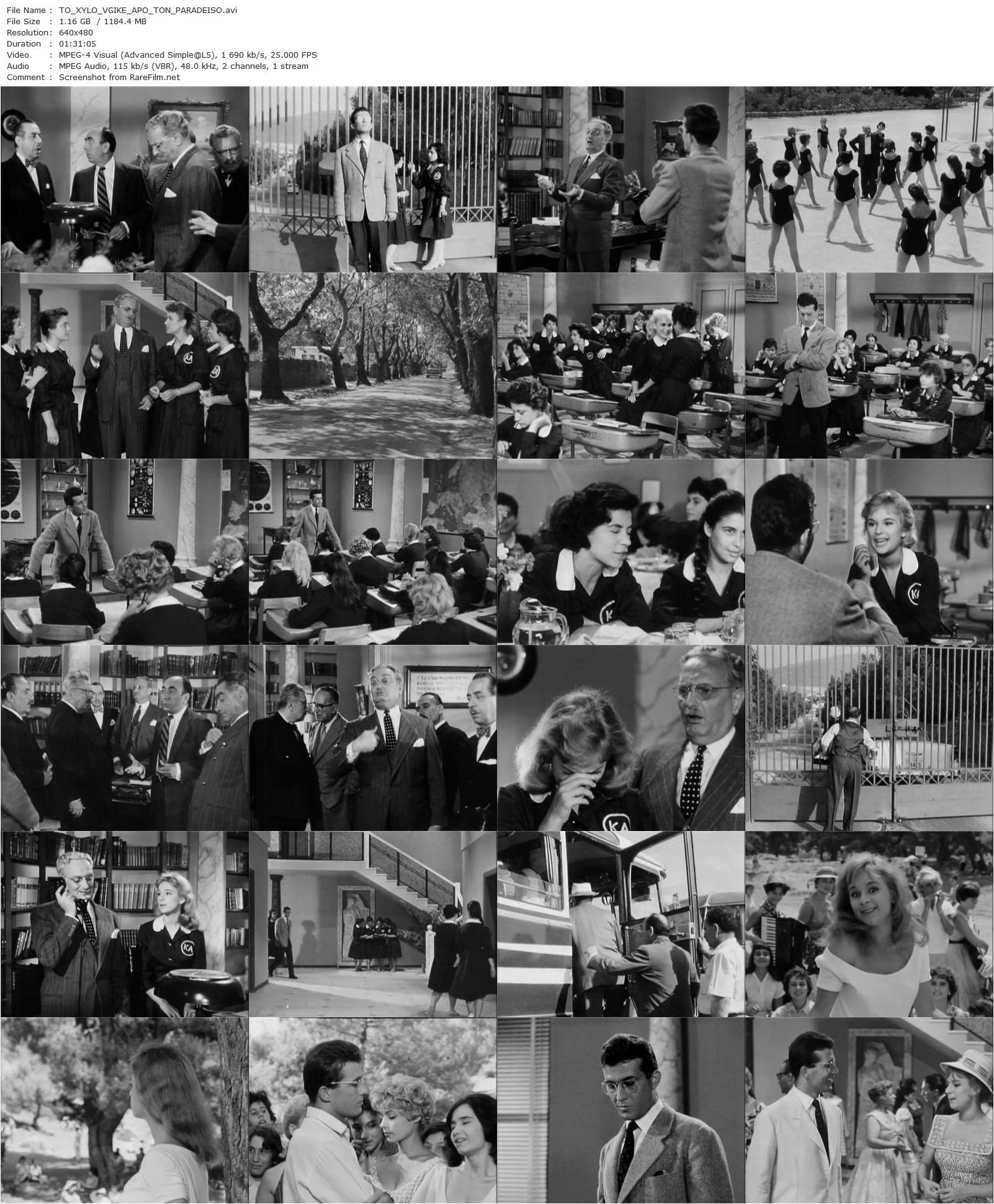 Maiden’s Cheek / To xylo vgike apo ton Paradeiso (1959) Alekos Sakellarios, Aliki Vougiouklaki, Dimitris Papamichael, Hristos Tsaganeas-poster