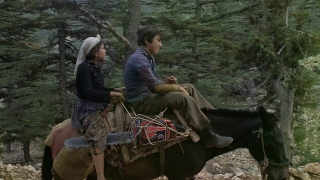 Tahtaci Fatma (Fatma of the Forest) (1979) directed by Suha Arin-poster