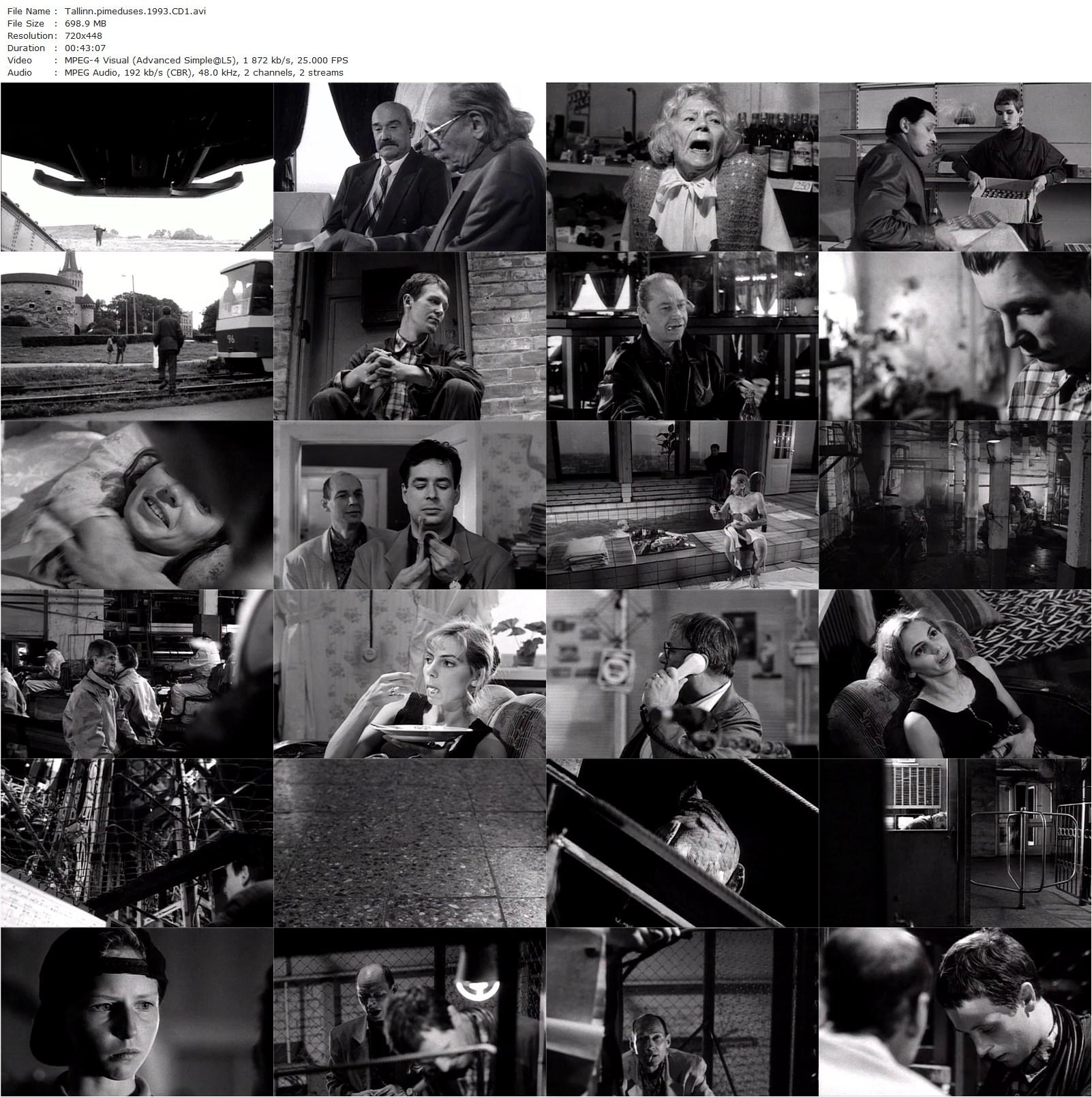 Darkness in Tallinn / Tallinn pimeduses (1993) Ilkka Järvi-Laturi, Ivo Uukkivi, Milena Gulbe, Monika Mäger-poster