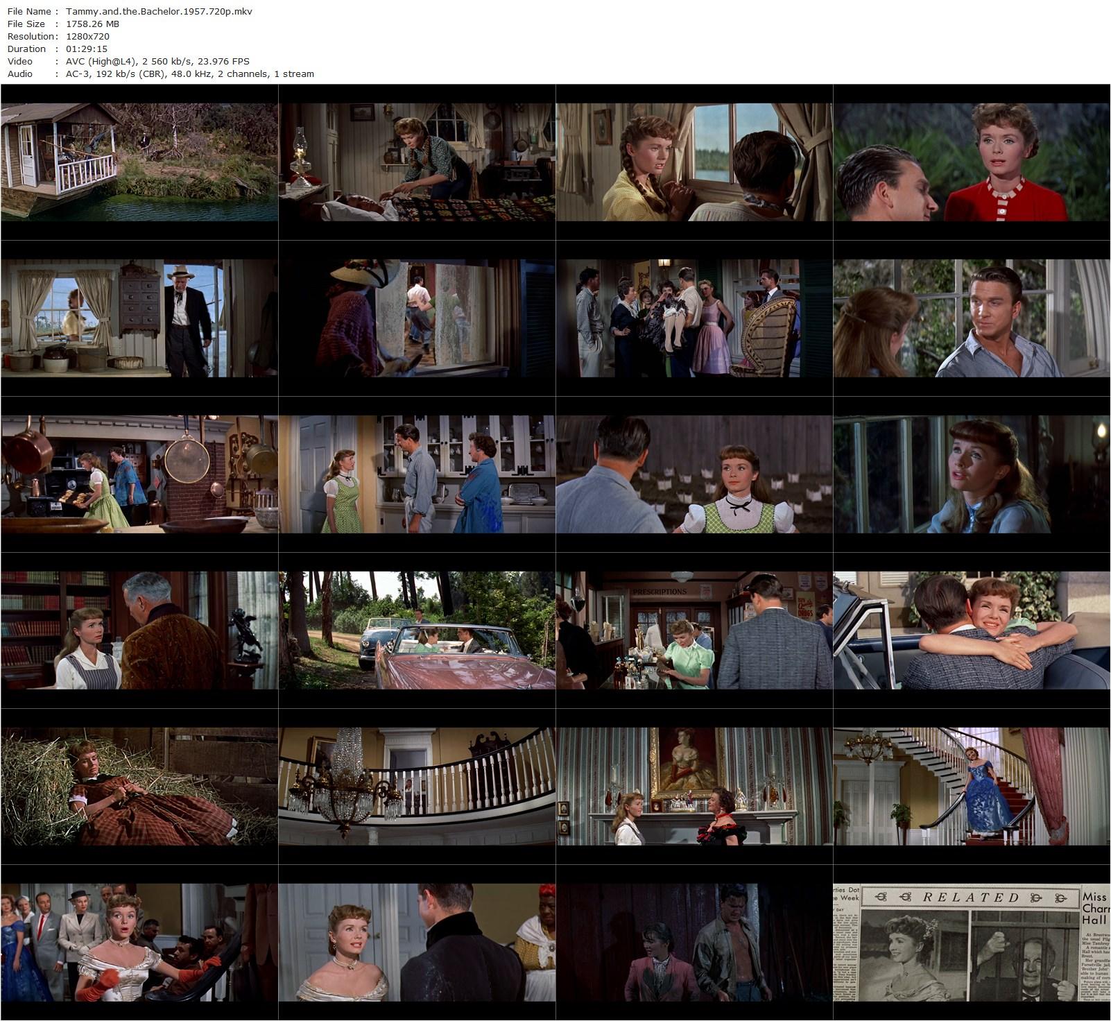 Tammy and the Bachelor (1957) Joseph Pevney, Debbie Reynolds, Walter Brennan, Leslie Nielsen-poster