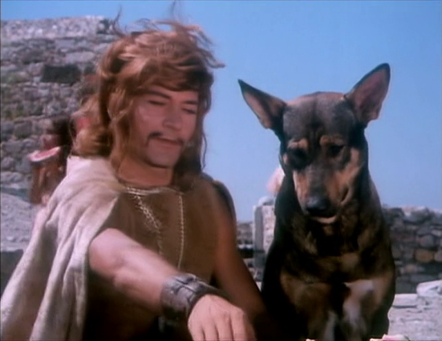 Tarkan: Viking Kani (Tarkan Versus the Vikings) (1971) by Mehmet Aslan-poster