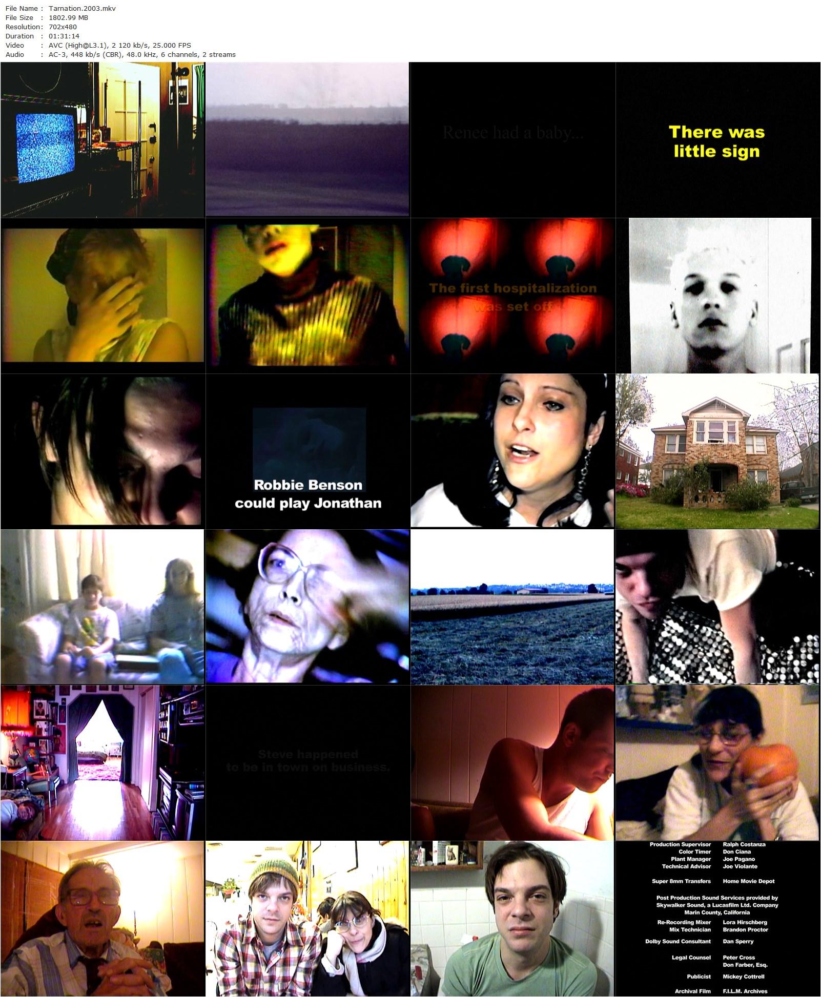 Tarnation (2003) Jonathan Caouette, Renee Leblanc, Adolph Davis-poster