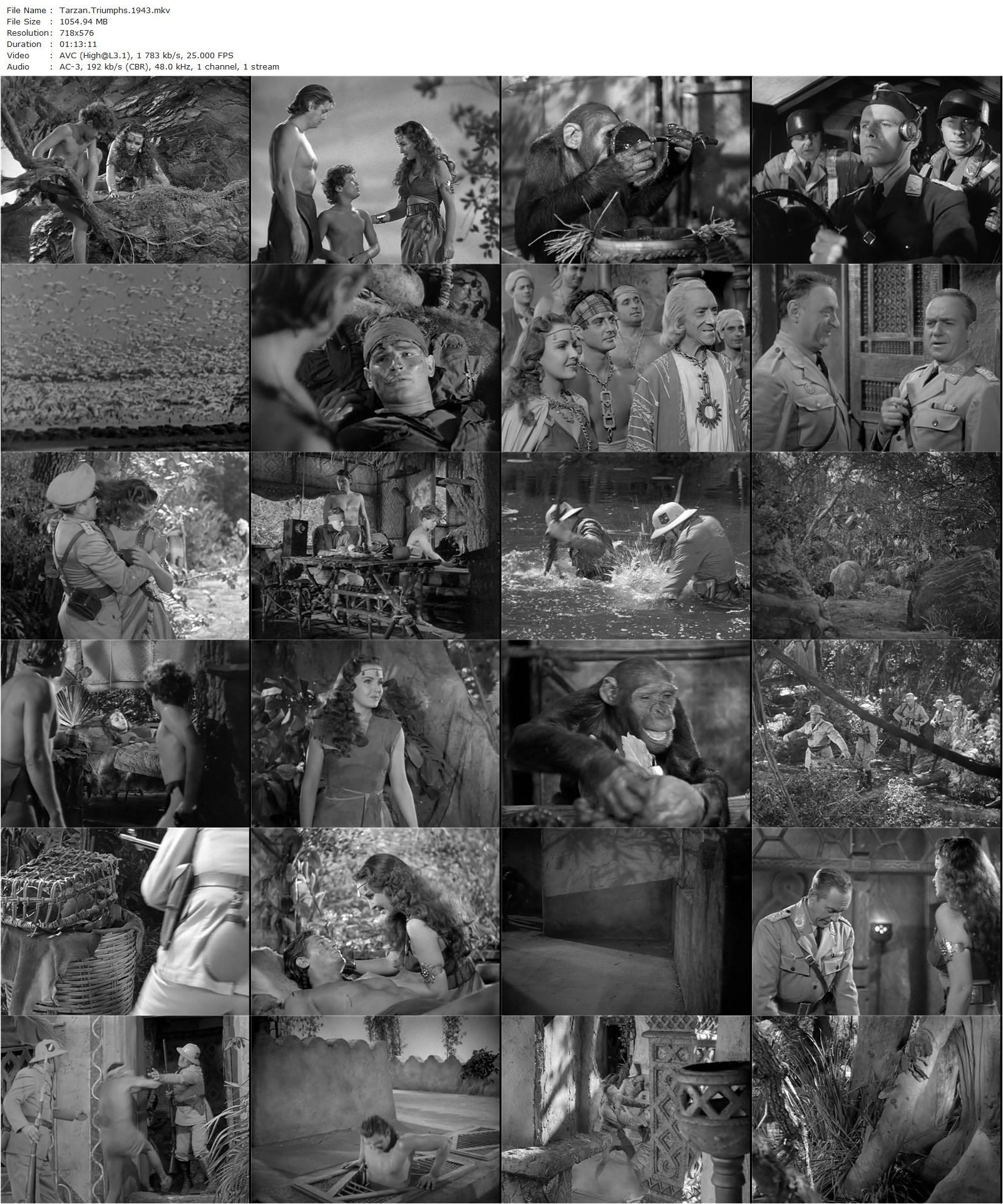 Tarzan Triumphs (1943) Wilhelm Thiele, Johnny Weissmuller, Frances Gifford, Johnny Sheffield-poster