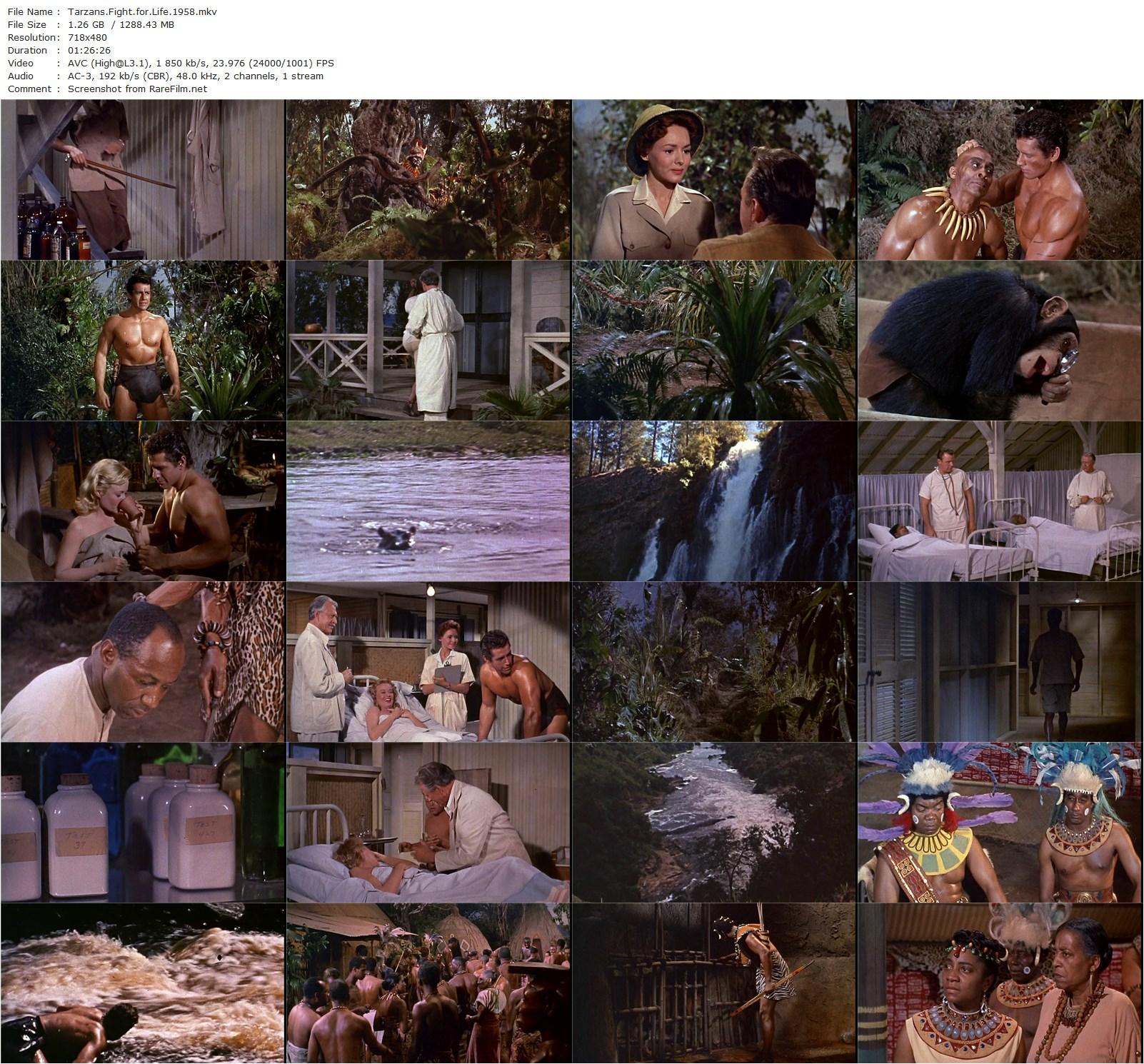 Tarzan’s Fight for Life (1958) H. Bruce Humberstone, Gordon Scott, Eve Brent, Rickie Sorensen-poster