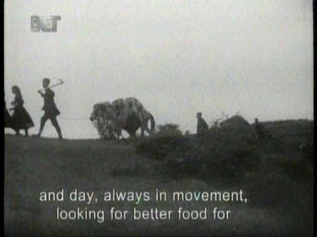 Aco Petrovski - Tenda AKA Shelter (1955)-poster